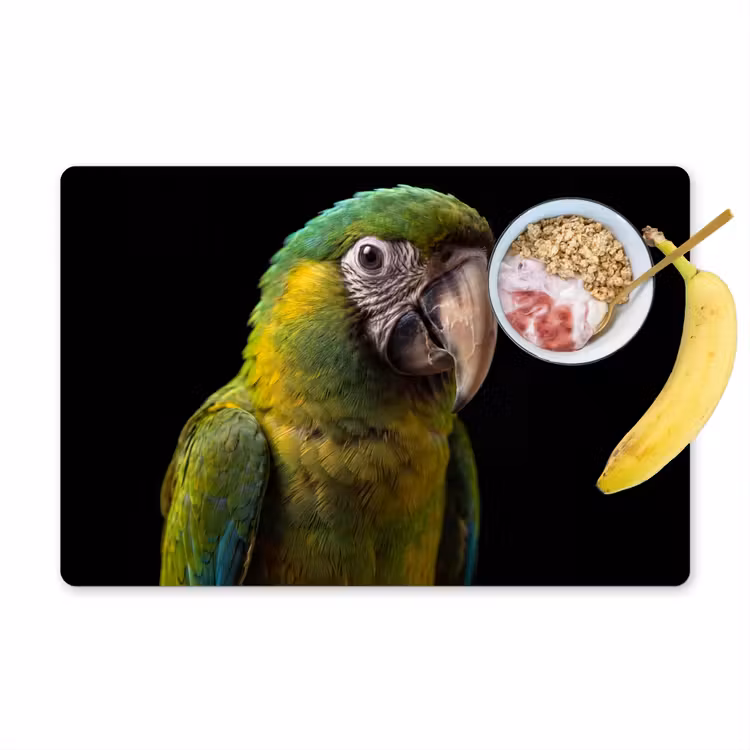 Ara - Portret - Groen Placemat vinyl groot -zzzproduct_Kitchenyeah-website