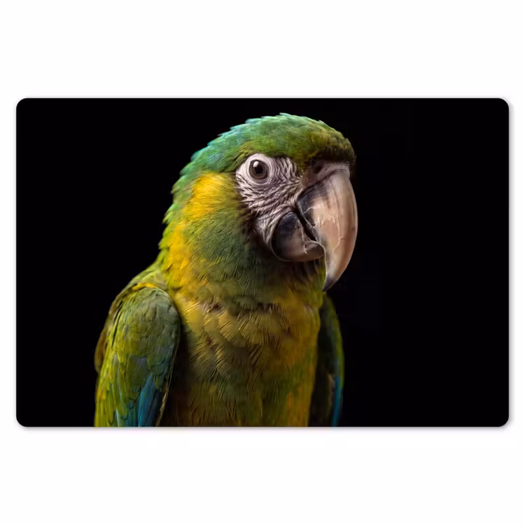 Ara - Portret - Groen Placemat vinyl groot -zzsfeer1_Kitchenyeah-website