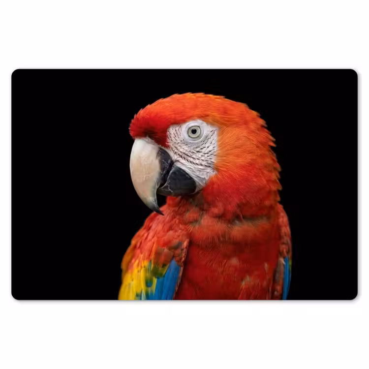 Ara - Portret - Rood Placemat vinyl groot -zzsfeer1_Kitchenyeah-website