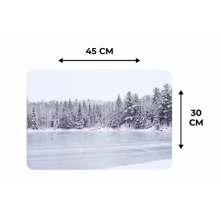 Meer - Dennen - IJs - Winter - Rustgevend Placemat vinyl groot -specs