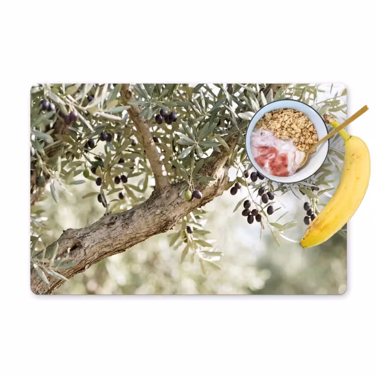 Placemat - 6 pieces - Olive tree - branch - green - Olijfboom - tak - groen Placemat vinyl groot