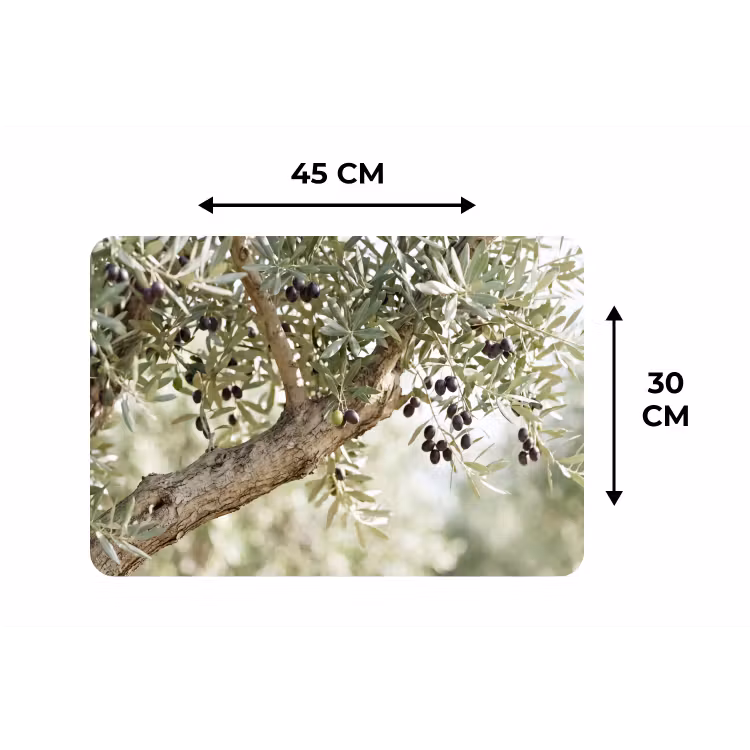 Placemat - 6 pieces - Olive tree - branch - green - Olijfboom - tak - groen Placemat vinyl groot