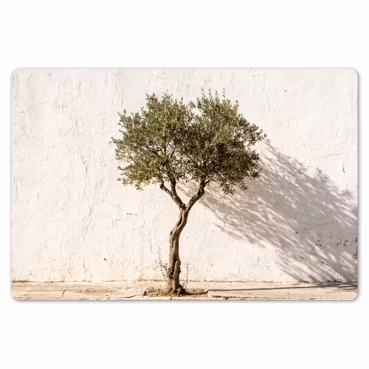 Placemat - 6 pieces - Olive Tree - Wall - White - Olijfboom - muur - wit Placemat vinyl groot