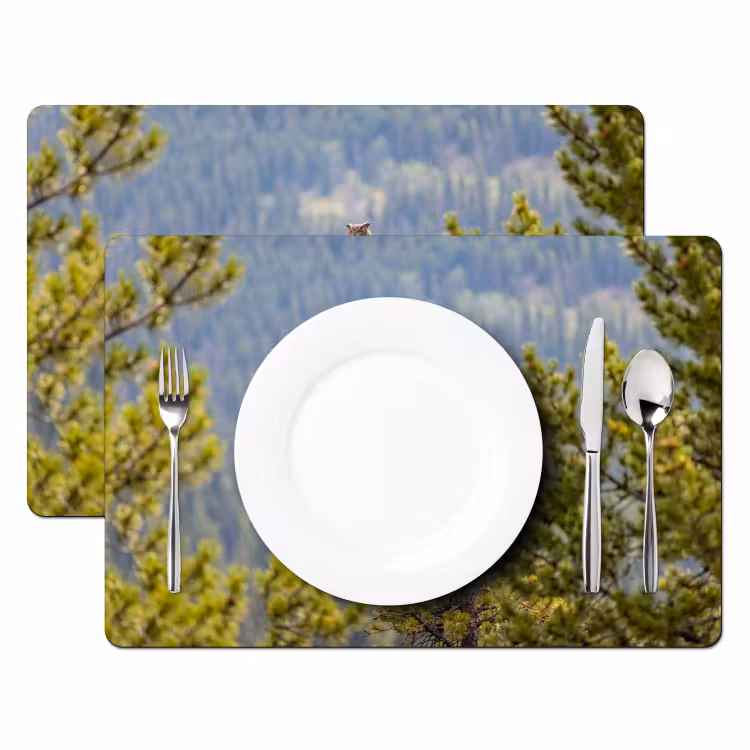 Uil - Oehoe - Bomen - Natuur Placemat vinyl groot -zzsfeer2_Kitchenyeah-website