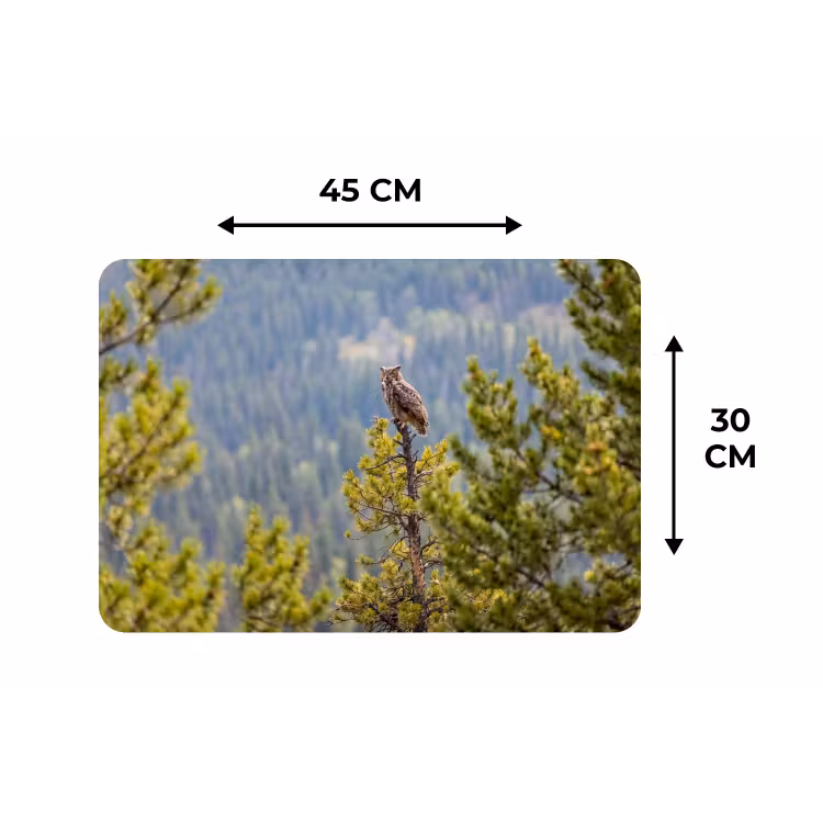 Uil - Oehoe - Bomen - Natuur Placemat vinyl groot -specs