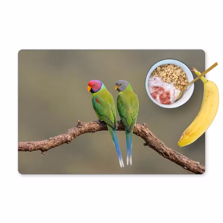 Papagaai - Tak - Natuur - Kleurrijk Placemat vinyl groot -zzzproduct_Kitchenyeah-website