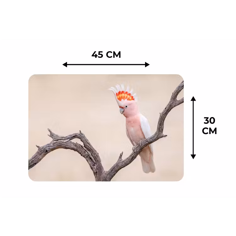 Papagaai - Tak - Roze Placemat vinyl groot -specs
