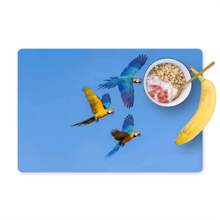 Papagaai - Vliegen - Blauw - Geel Placemat vinyl groot -zzzproduct_Kitchenyeah-website
