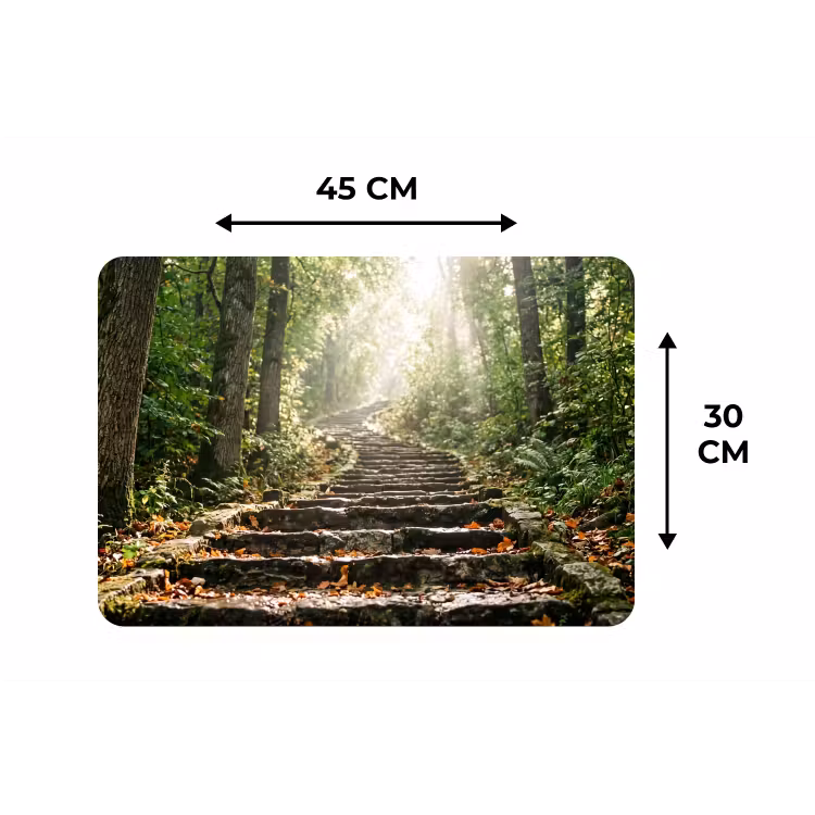 Stenen - Trap - Bos - Natuur Placemat vinyl groot -specs