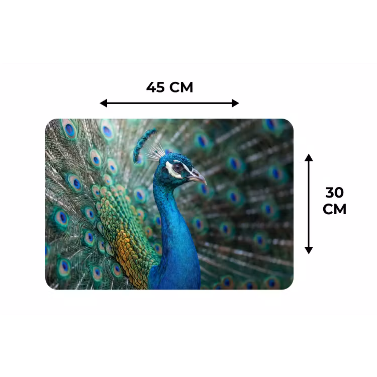 Pauw - Veren - Blauw Placemat vinyl groot -specs