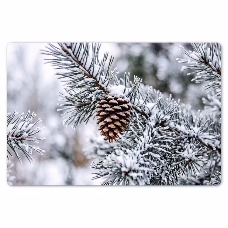 Dennenappel - Tak - Sneeuw - Winter - Sfeervol Placemat vinyl groot -zzsfeer1_Kitchenyeah-website