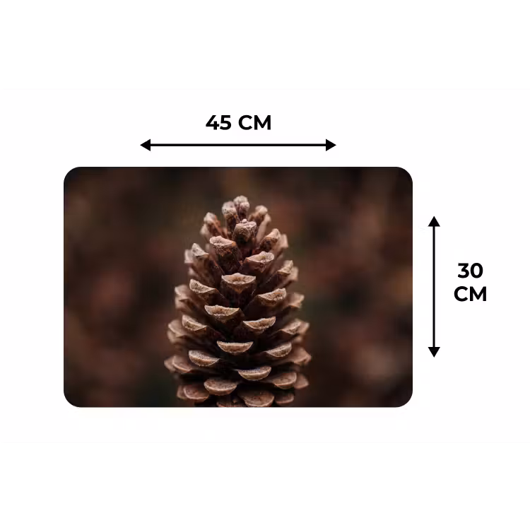 Dennenappel - Bos - Herfst - Bruin - Sfeervol Placemat vinyl groot -specs
