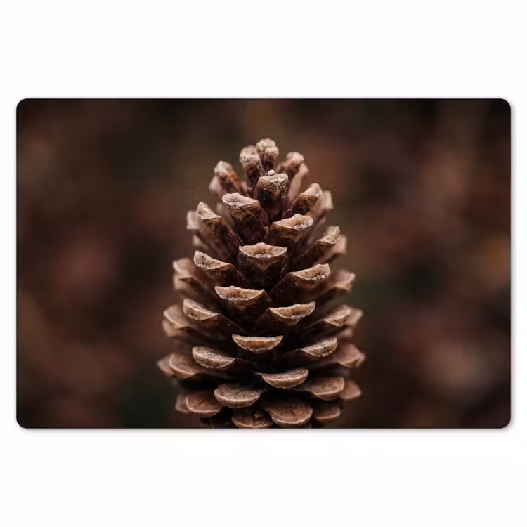 Dennenappel - Bos - Herfst - Bruin - Sfeervol Placemat vinyl groot -zzsfeer1_Kitchenyeah-website