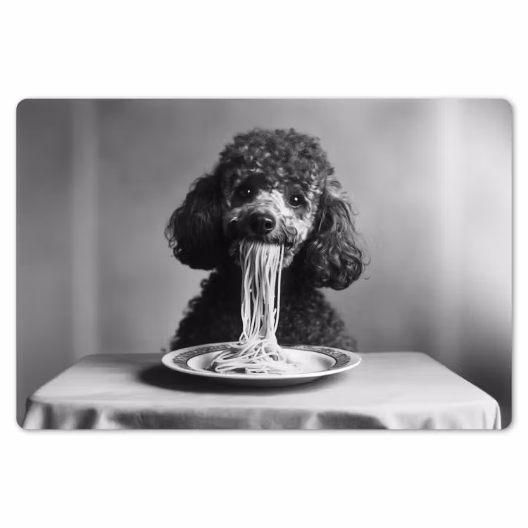 Poedel - Hond - Zwart - Wit - Schattig - Pasta Placemat vinyl groot -zzsfeer1_Kitchenyeah-website