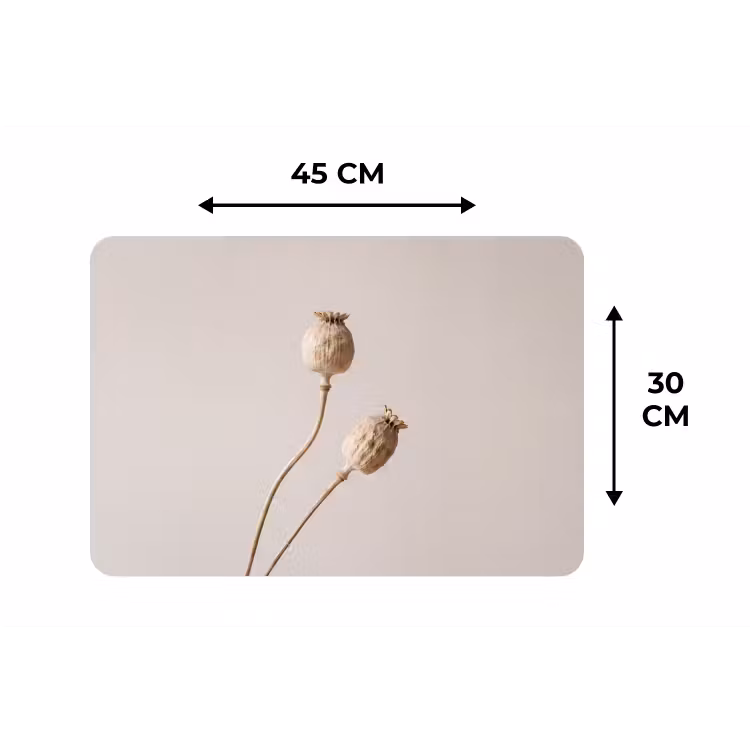 Papaverbollen - Droogbloemen - Minimalistisch - Beige - Rustig Placemat vinyl groot -specs