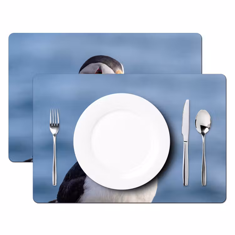 Papegaaiduiker - Portret - Natuur Placemat vinyl groot -zzsfeer2_Kitchenyeah-website