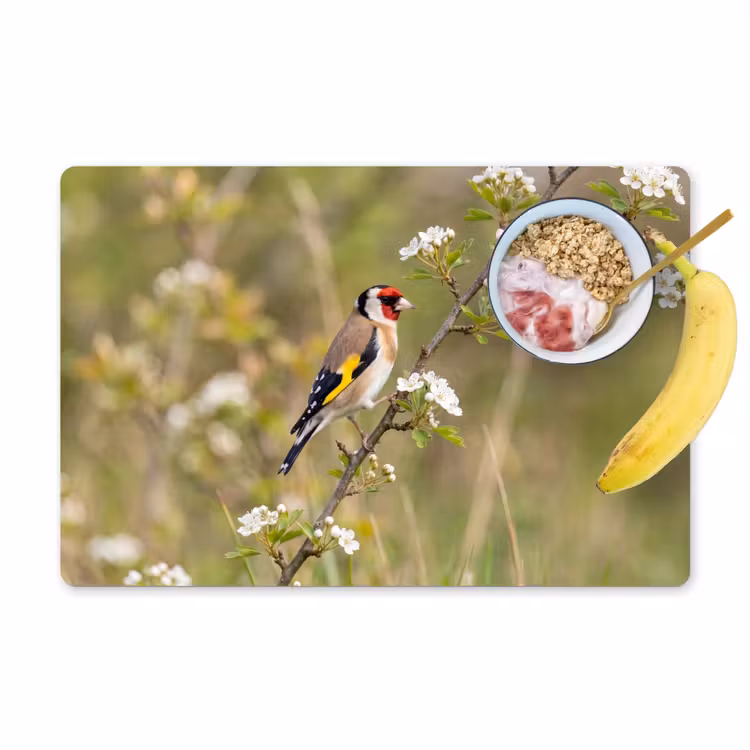 Putter - Bloesem - Lente - Natuur - Kleurrijk Placemat vinyl groot -zzzproduct_Kitchenyeah-website