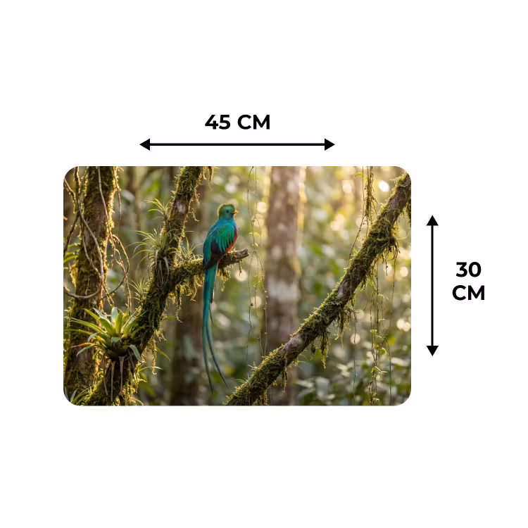 Quetzal - Jungle - Natuur - Groen Placemat vinyl groot -specs