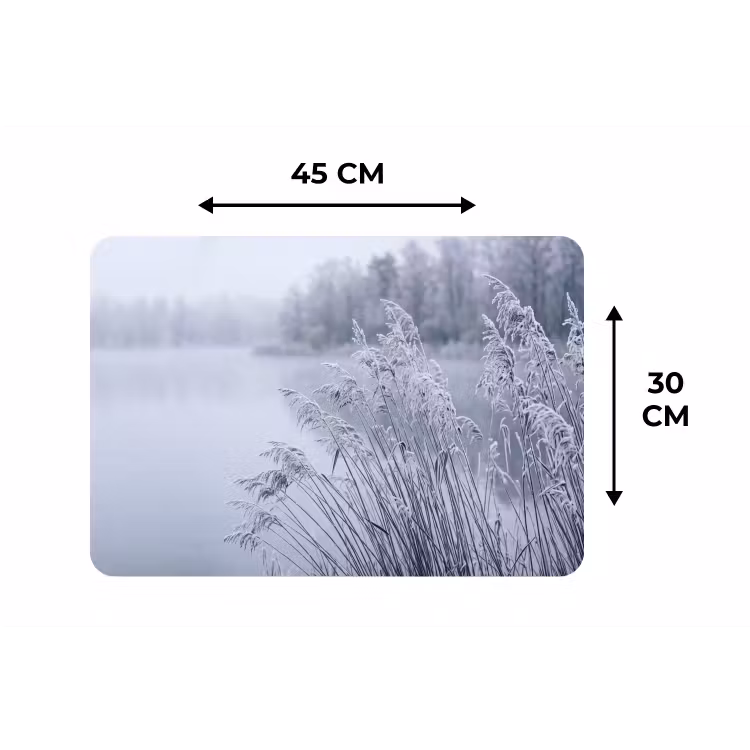 Riet - Bevroren - Winter - Natuur Placemat vinyl groot -specs