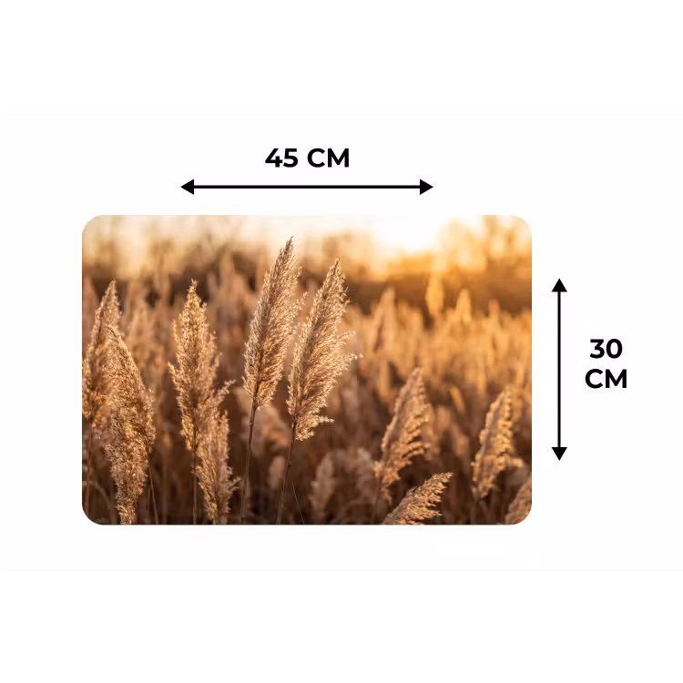 Rietpluimen - Gras - Zonsondergang - Goud - Serene Placemat vinyl groot -specs