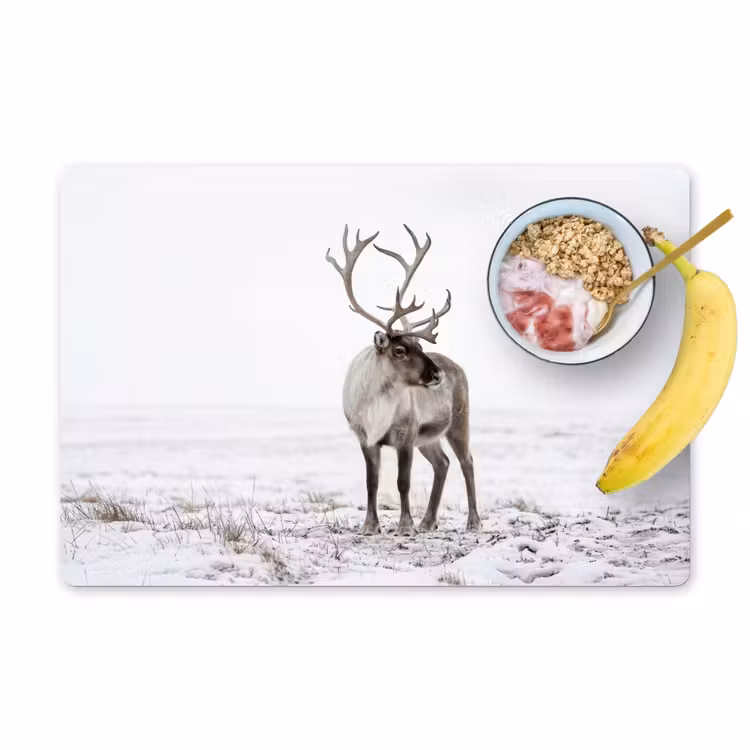 Rendier - Gewei - Sneeuw - Winter Placemat vinyl groot -zzzproduct_Kitchenyeah-website