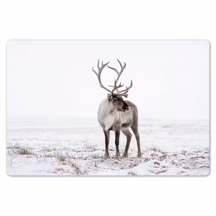 Rendier - Gewei - Sneeuw - Winter Placemat vinyl groot -zzsfeer1_Kitchenyeah-website