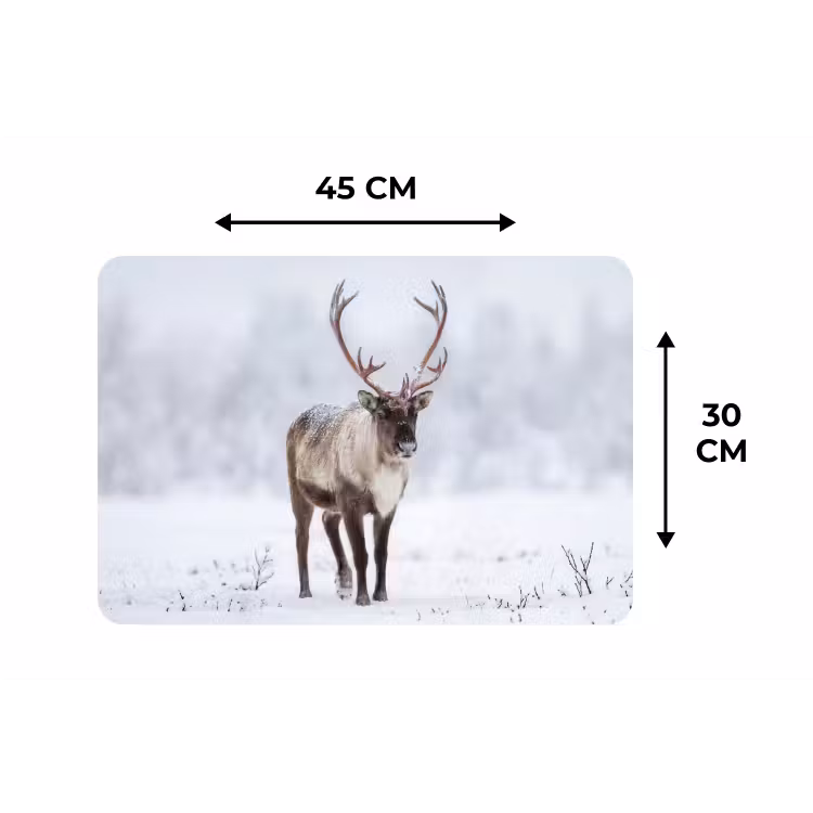 Rendier - Gewei - Toendra - Sneeuw - Wild Placemat vinyl groot -specs
