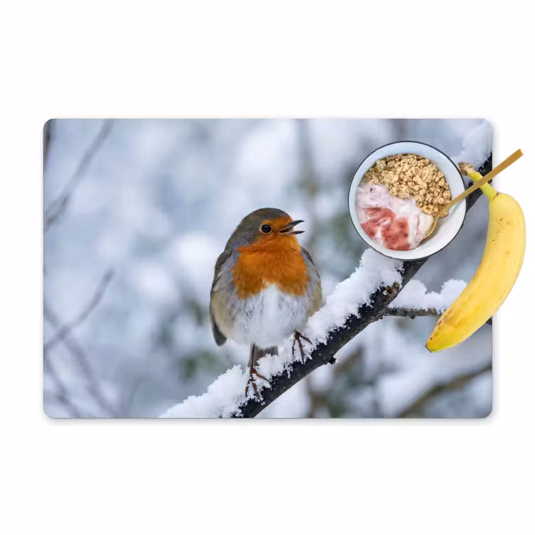 Roodborstje - Tak - Sneeuw - Winter - Levendig Placemat vinyl groot -zzzproduct_Kitchenyeah-website