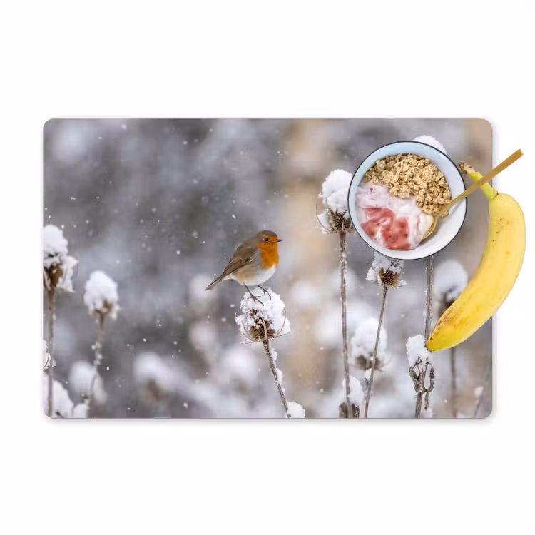 Roodborstje - Gedroogde bloem - Sneeuw - Winter - Vertederend Placemat vinyl groot -zzzproduct_Kitchenyeah-website