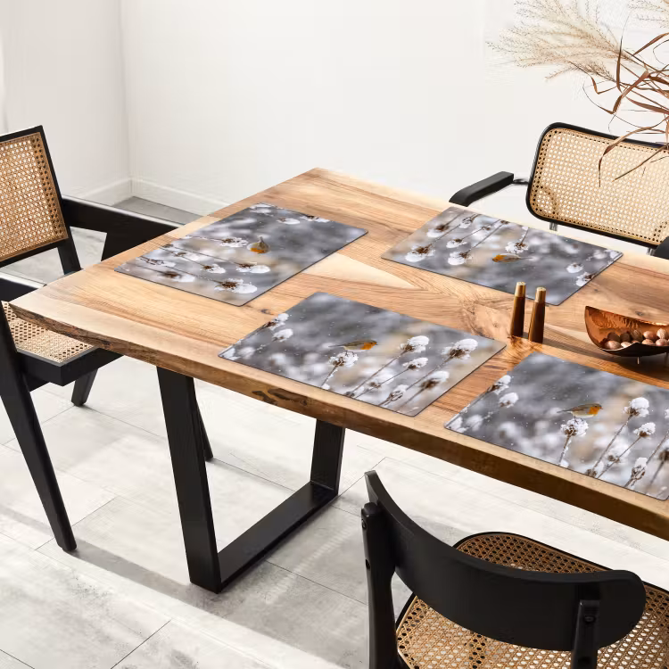 Roodborstje - Gedroogde bloem - Sneeuw - Winter - Vertederend Placemat vinyl groot -zzsfeer4_Kitchenyeah-website