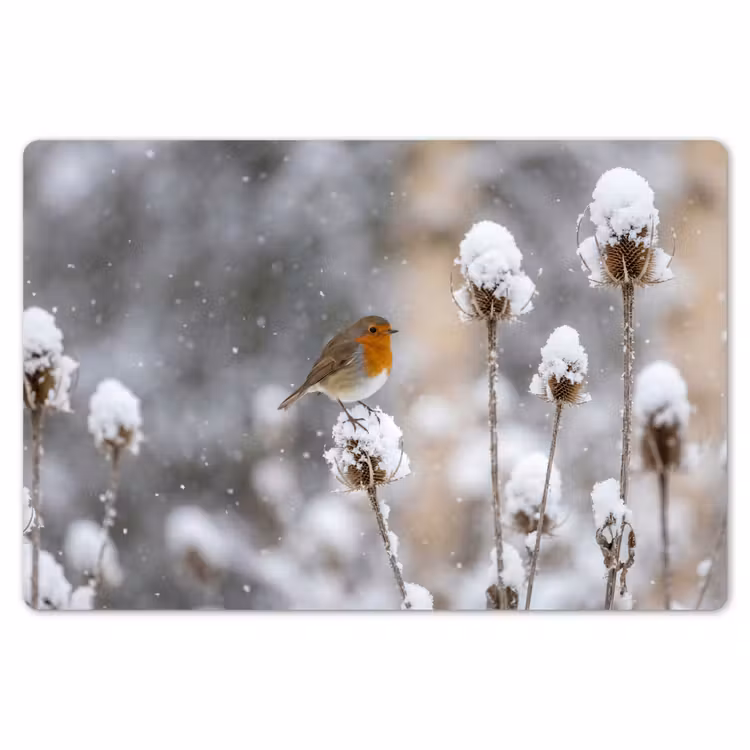 Roodborstje - Gedroogde bloem - Sneeuw - Winter - Vertederend Placemat vinyl groot -zzsfeer1_Kitchenyeah-website