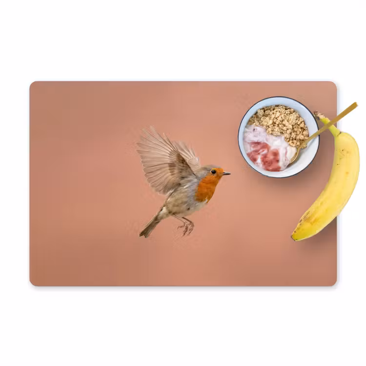 Roodborst - Natuur - Roze Placemat vinyl groot -zzzproduct_Kitchenyeah-website