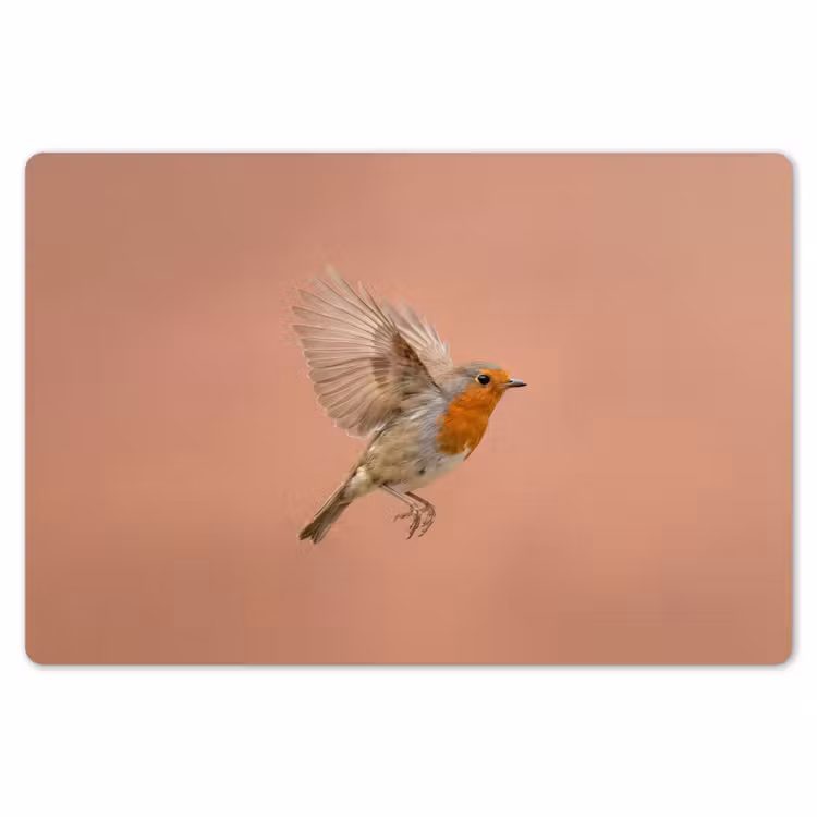 Roodborst - Natuur - Roze Placemat vinyl groot -zzsfeer1_Kitchenyeah-website