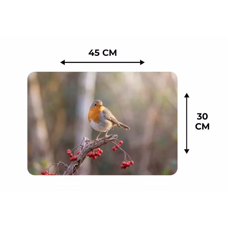 Roodborst - Tak - Bessen - Natuur Placemat vinyl groot -specs