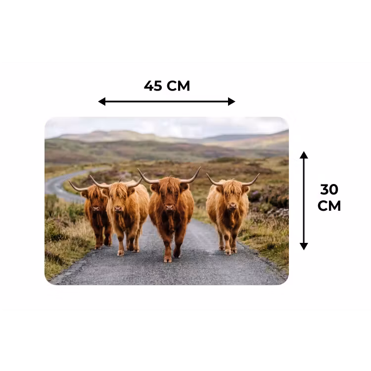 Schotse Hooglanders - Weg - Landschap - Kudde Placemat vinyl groot -specs