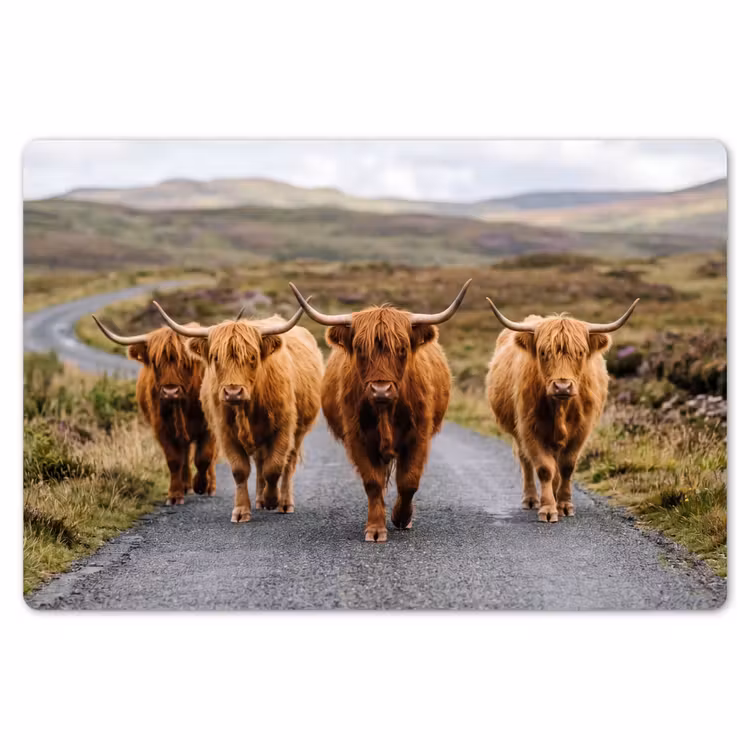 Schotse Hooglanders - Weg - Landschap - Kudde Placemat vinyl groot -zzsfeer1_Kitchenyeah-website