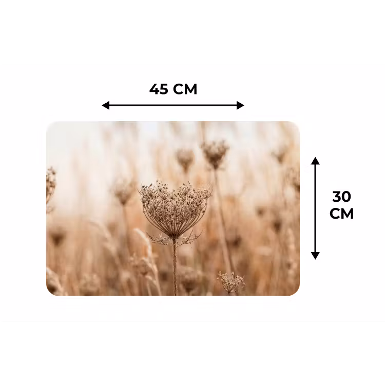 Schermbloem - Droogbloem - Winter - Beige - Minimalistisch Placemat vinyl groot -specs