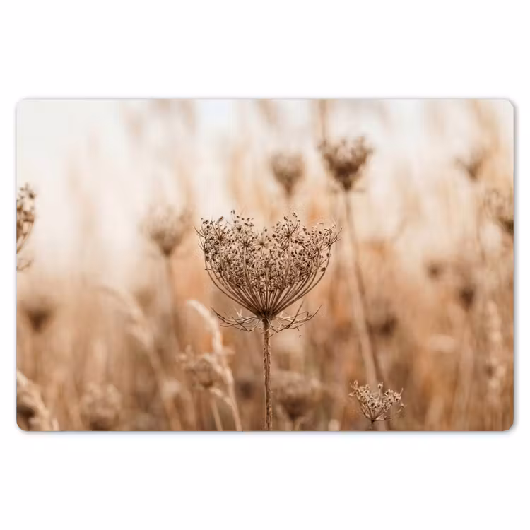 Schermbloem - Droogbloem - Winter - Beige - Minimalistisch Placemat vinyl groot -zzsfeer1_Kitchenyeah-website