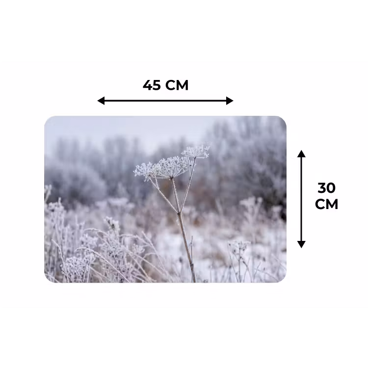 Schermbloem - Rijp - Kristallen - Winter - Delicaat Placemat vinyl groot -specs
