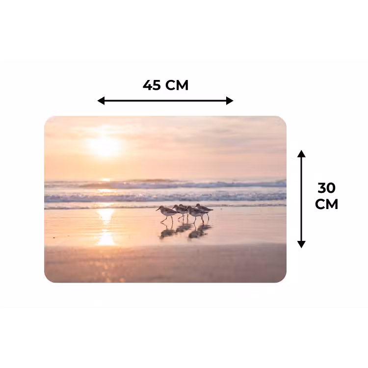 Zee - Vogels - Strand Placemat vinyl groot -specs