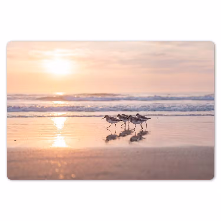 Zee - Vogels - Strand Placemat vinyl groot -zzsfeer1_Kitchenyeah-website