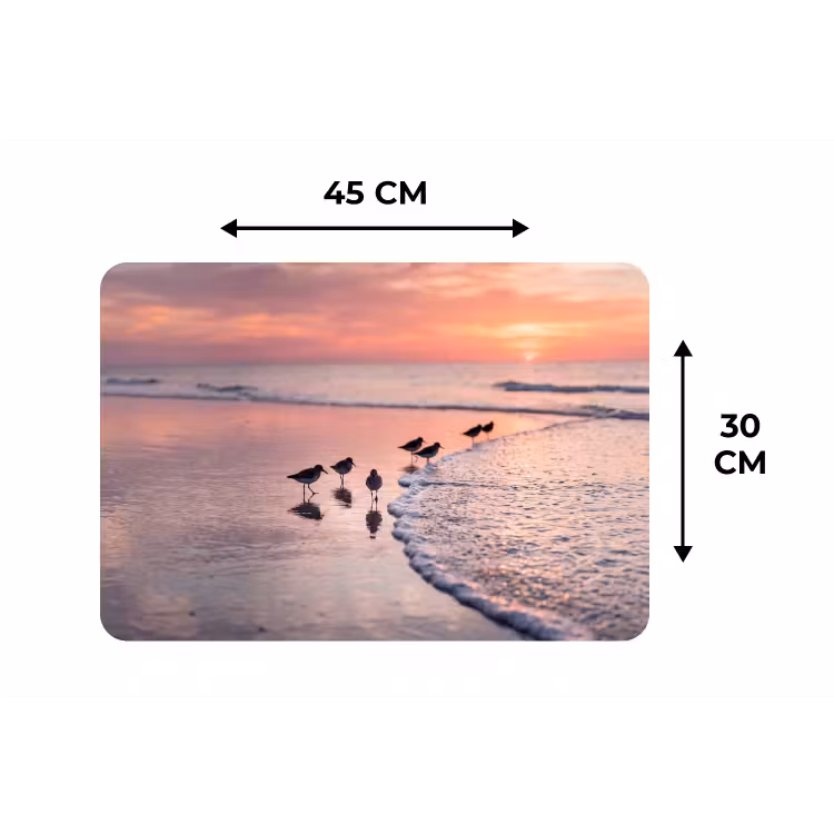 Meeuwen - Strand - Zee - Roze Placemat vinyl groot -specs