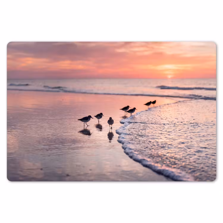 Meeuwen - Strand - Zee - Roze Placemat vinyl groot -zzsfeer1_Kitchenyeah-website