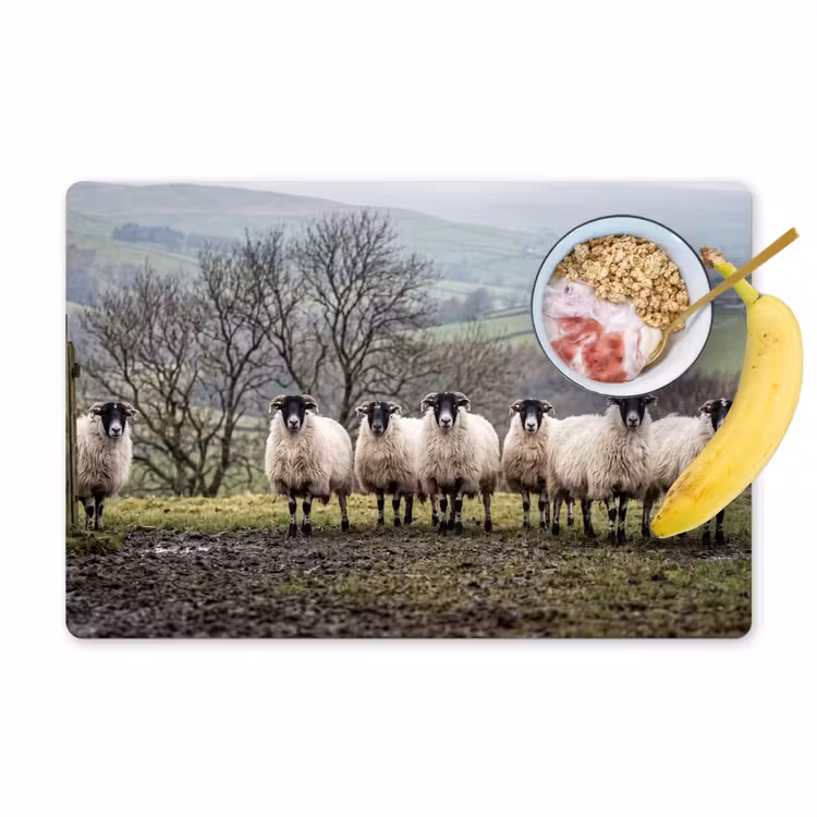 Schapen - Rij - Weide - Dieren - Platteland Placemat vinyl groot -zzzproduct_Kitchenyeah-website