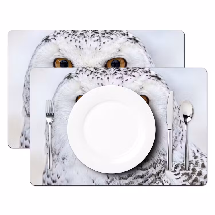 Sneeuwuil - Oog - Wildlife - Wit Placemat vinyl groot -zzsfeer2_Kitchenyeah-website