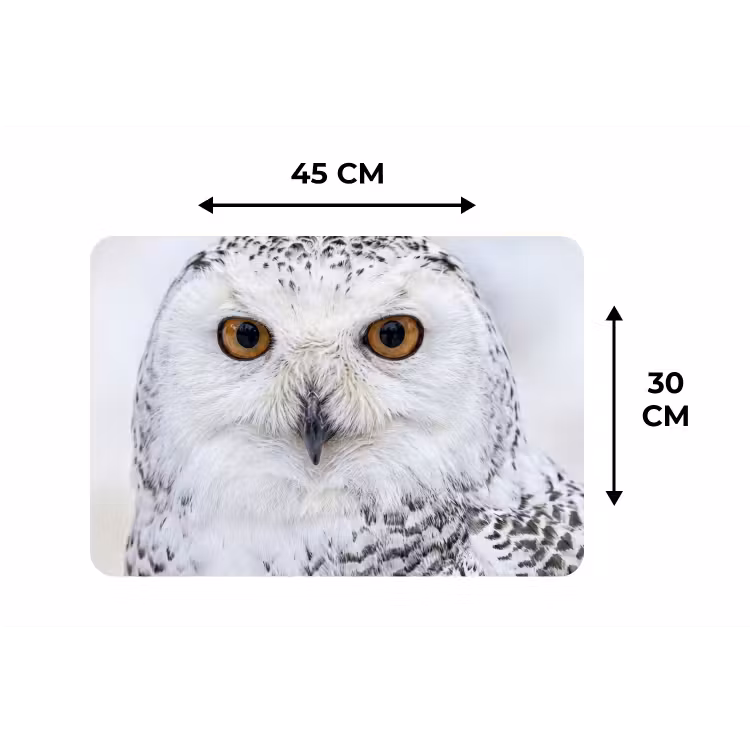 Sneeuwuil - Oog - Wildlife - Wit Placemat vinyl groot -specs