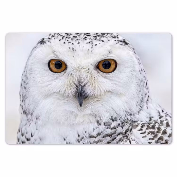 Sneeuwuil - Oog - Wildlife - Wit Placemat vinyl groot -zzsfeer1_Kitchenyeah-website