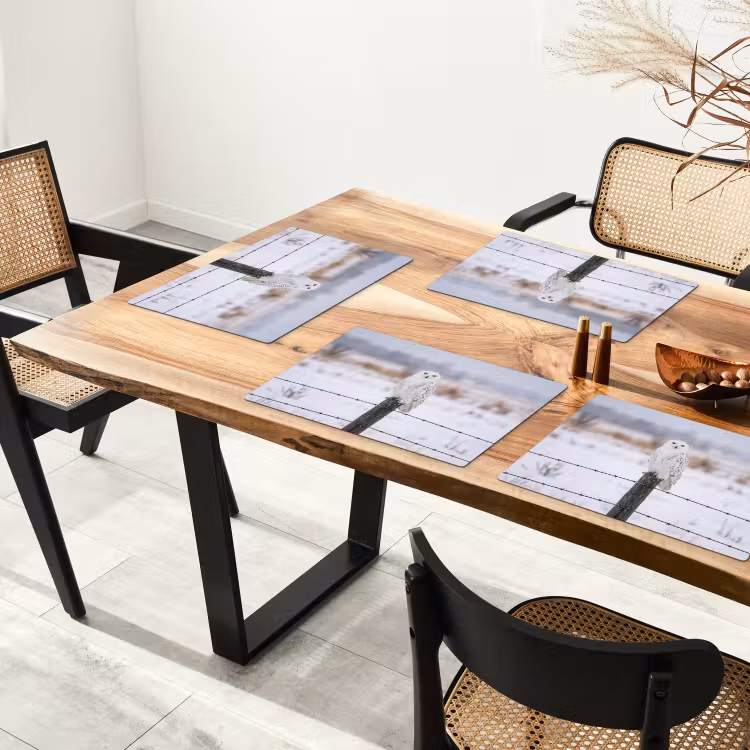Sneeuwuil - Hek - Sneeuw - Wit Placemat vinyl groot -zzsfeer4_Kitchenyeah-website