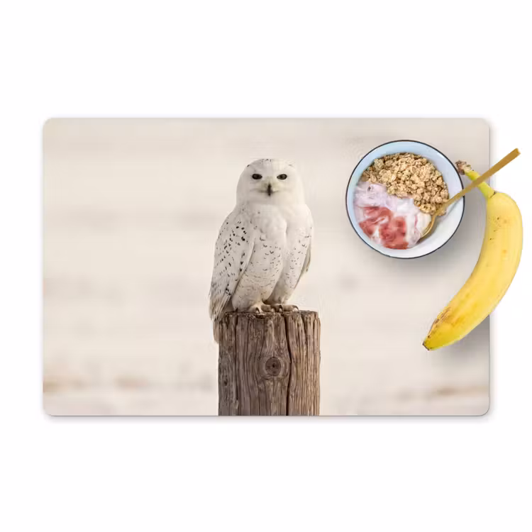 Sneeuwuil - Paal - Winter - Portret - Majestueus Placemat vinyl groot -zzzproduct_Kitchenyeah-website