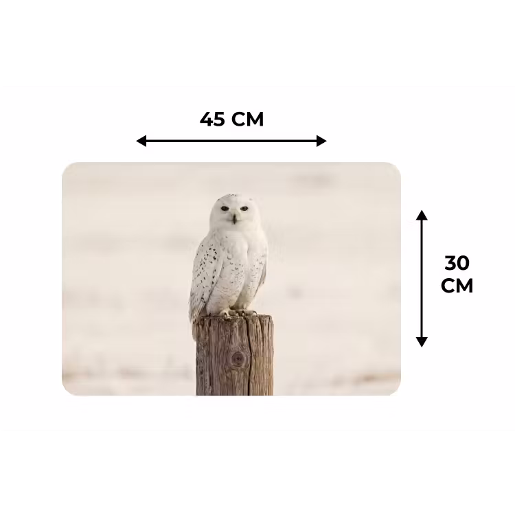 Sneeuwuil - Paal - Winter - Portret - Majestueus Placemat vinyl groot -specs